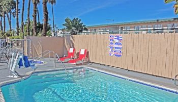 A serene swimming pool area with two red lounge chairs, surrounded by palm trees and a privacy fence, creating a relaxing atmosphere.